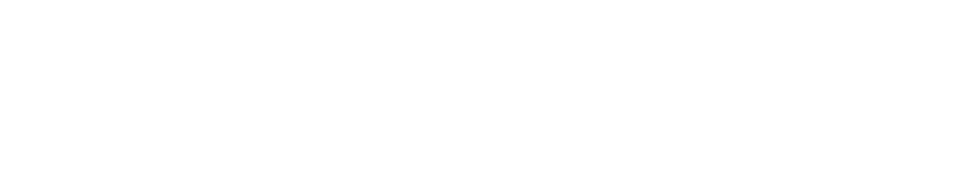 bakneko logo